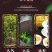 云南省临沧上品普洱茶生普357克饼茶古树茶老树茶
