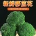 【精选】西蓝花产地货源质量保证价格实惠公道