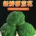 【精选】西蓝花产地货源质量保证价格实惠公道