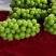 辽南精品冷棚阳光玫瑰葡萄香甜可口果肉多汁质量保证