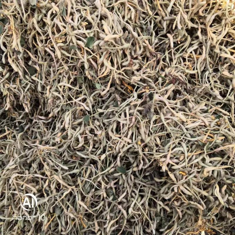 长期有货一手货源各种新鲜金银花干货