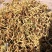 长期有货一手货源各种新鲜金银花干货