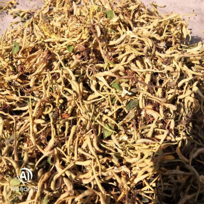 长期有货一手货源各种新鲜金银花干货