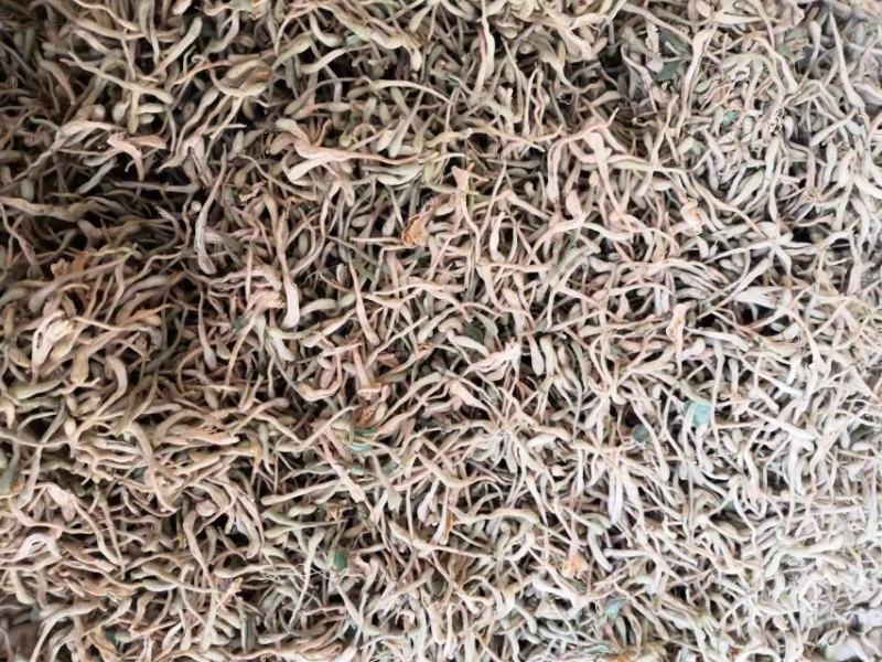长期有货一手货源各种新鲜金银花干货