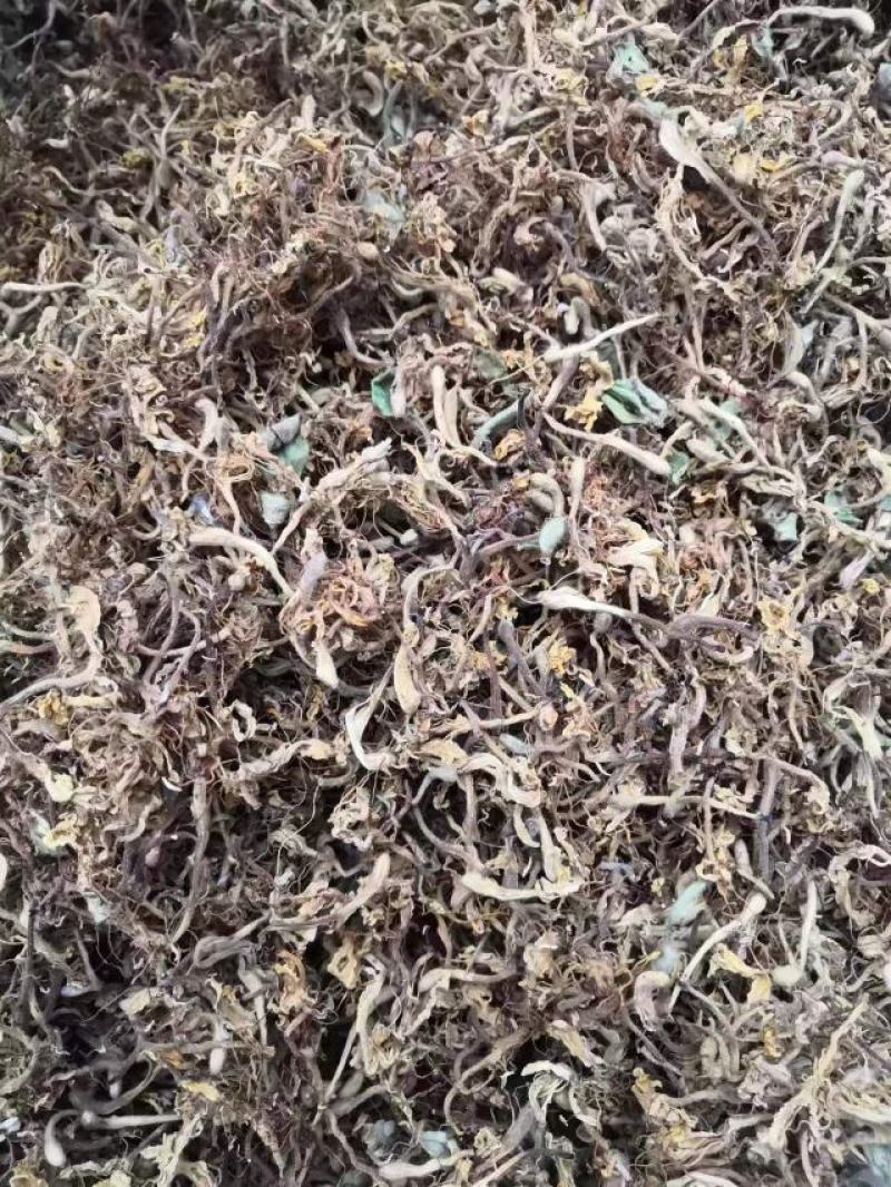长期有货一手货源各种新鲜金银花干货