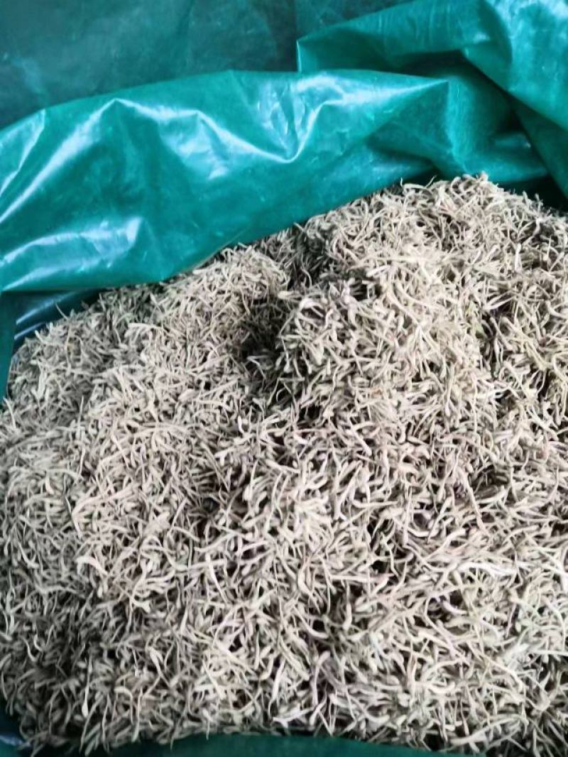 长期有货一手货源各种新鲜金银花干货
