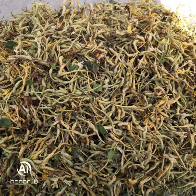 长期有货一手货源各种新鲜金银花干货