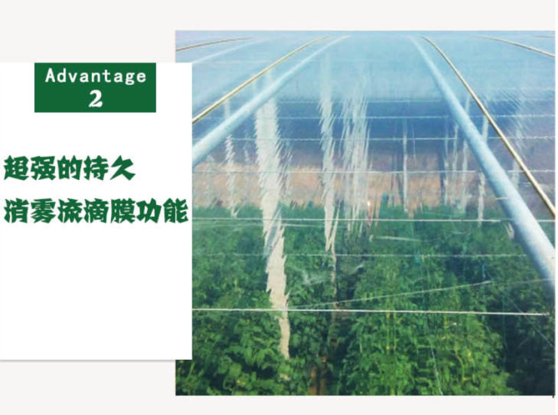 推荐精品5+1PO膜耐老化可连用5年大棚膜高透光高保温