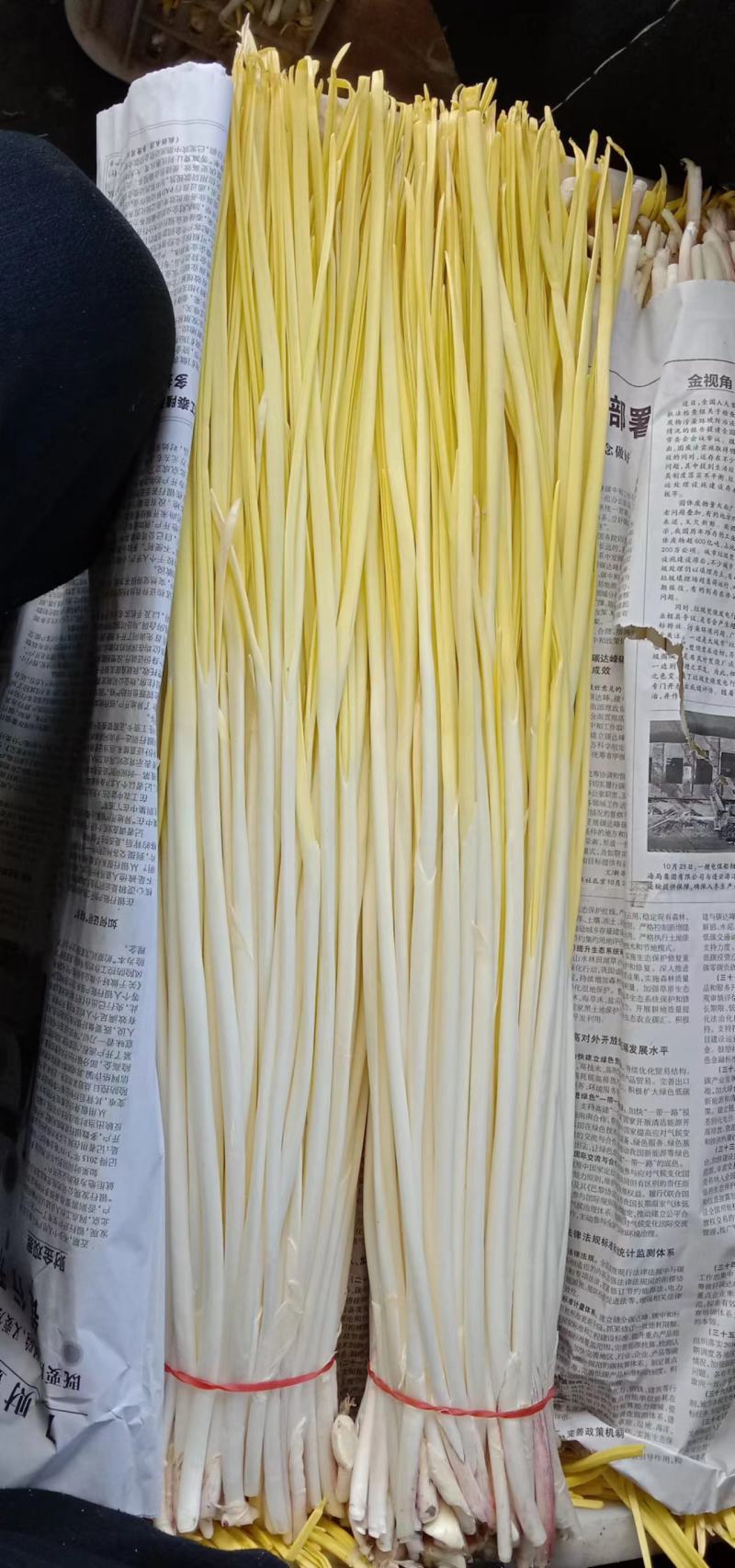 蒜黄