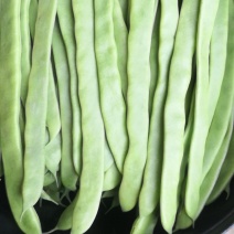 大量蔬菜滞销，欢迎前来采购