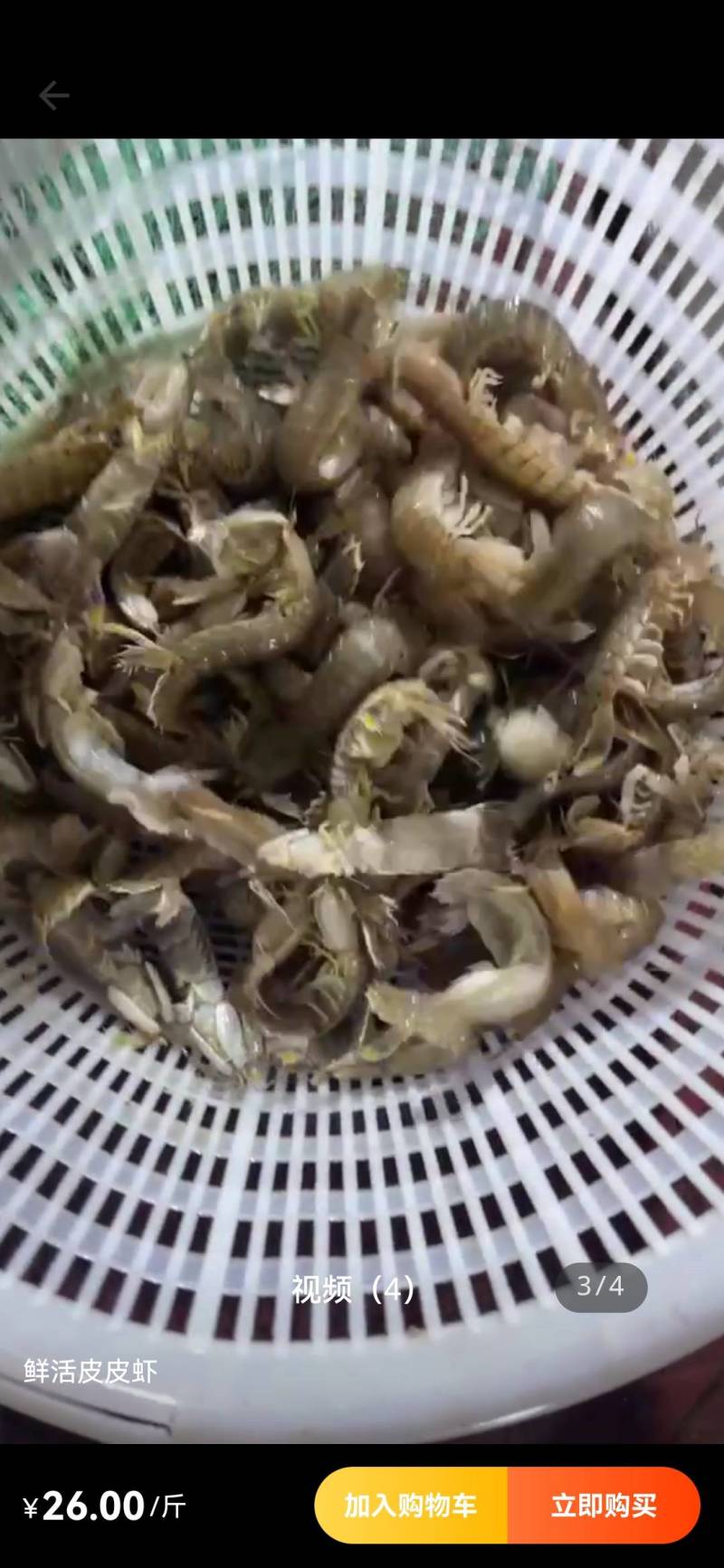 鲜活大皮皮虾皮虾虾爬子爬虾虾蛄