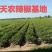 厂家自有基地湖南艳红小米辣剁椒优质原汁不参水剁辣椒
