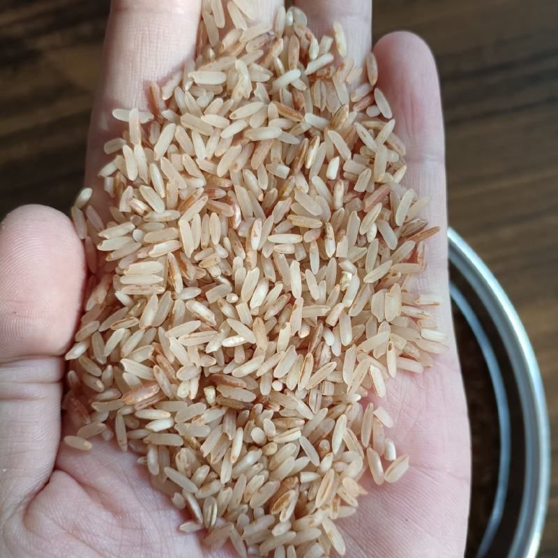 脱皮红米红香米红米长粒米大米厂家直发支持定制