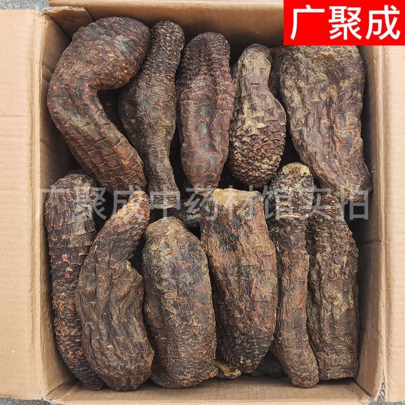 管花肉苁蓉硬大芸大云红柳大芸大量走货整根新疆肉苁蓉