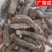 管花肉苁蓉硬大芸大云红柳大芸大量走货整根新疆肉苁蓉