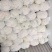 精品散花，松花菜，每天大量供应，质美价优欢迎全国客商订购
