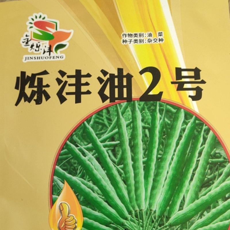 烁沣油2号油菜种子抗病性，抗倒伏好，生长周期短，产量好