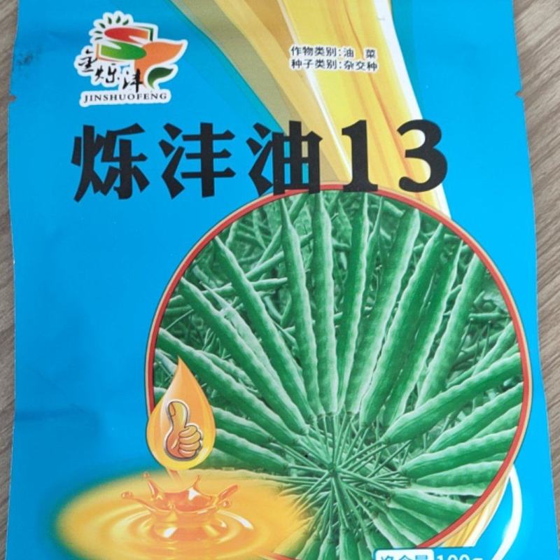 油菜种子，烁沣油13抗病性强，生长周期短，产量好！