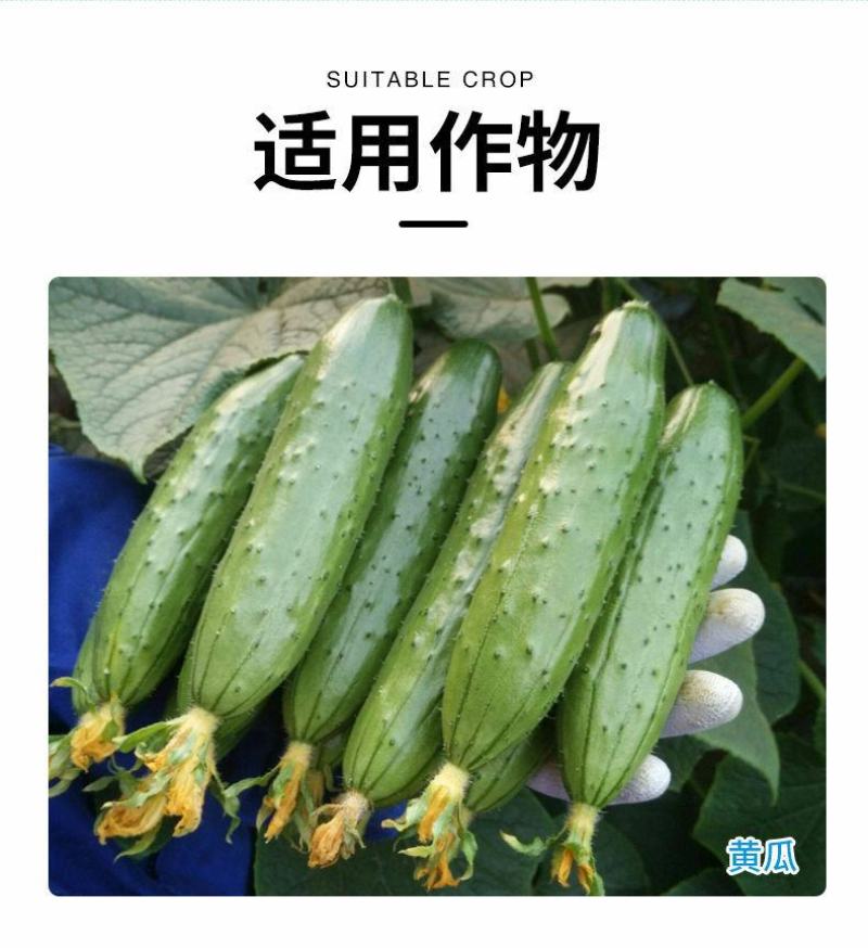 禾益粉星乙嘧酚月季草莓蔬菜葡萄甜瓜白粉病农药杀菌