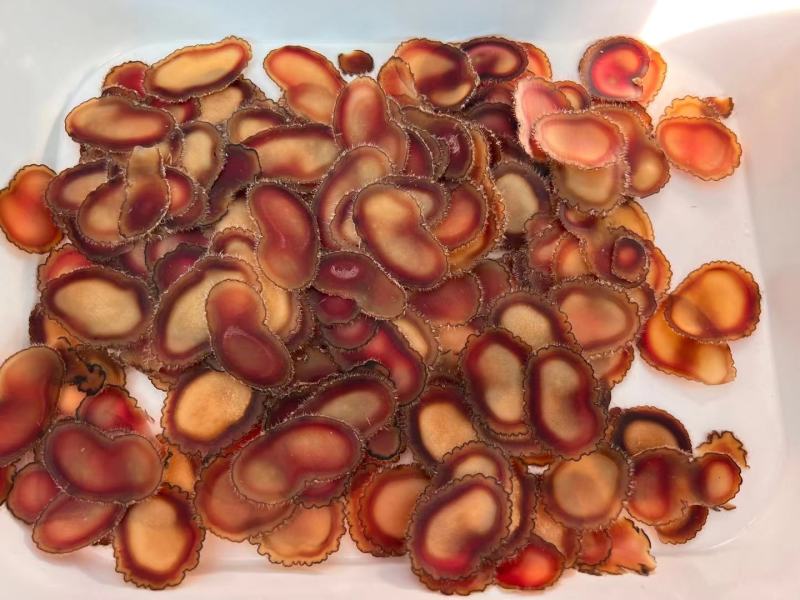 鹿茸蜡片鹿茸片每天早上来几片可泡茶冲服软嫩可口