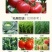 江西禾益50%腐霉百菌清腐霉利百菌清灰霉病用农药杀菌剂