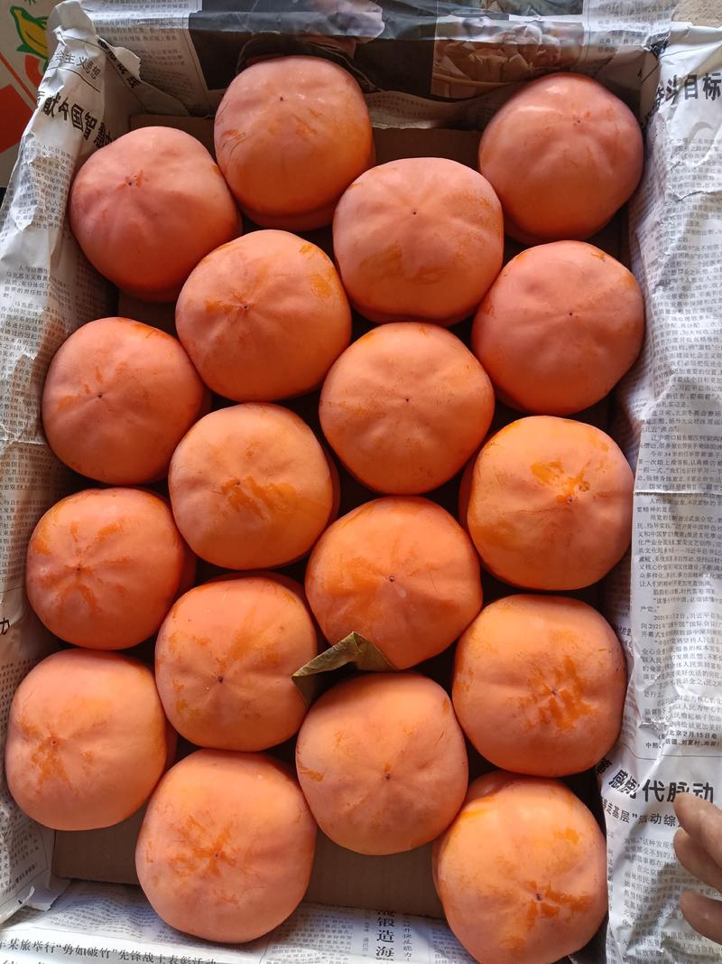 磨盘柿