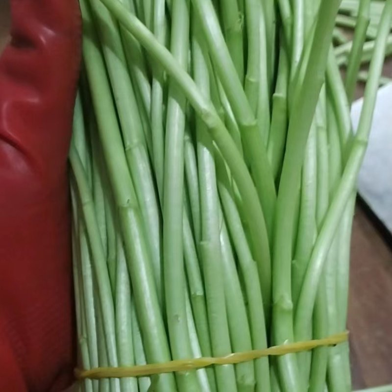 精品嫩芦蒿产地直销，优中选优质量可靠有保证