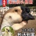 狮头鹅苗正宗潮汕狮头鹅出壳脱温苗注射疫苗