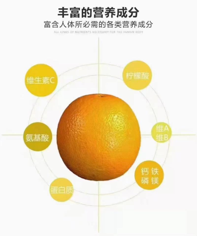冰糖橙湖南郴州永兴资兴冰糖橙鲜甜脆爽大吨位供应全国批发