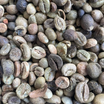 越南进口罗布斯塔咖啡豆