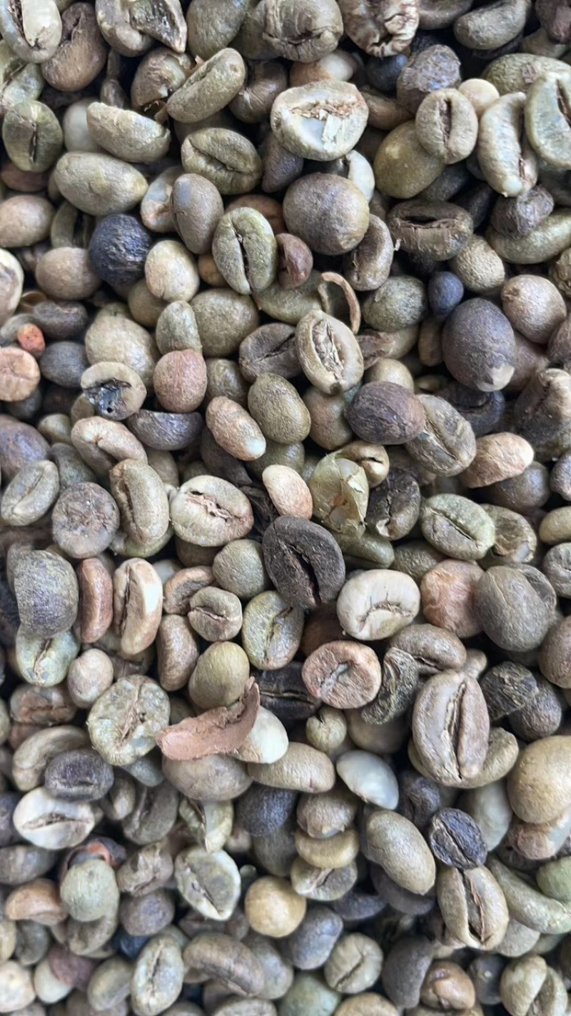 越南进口罗布斯塔咖啡豆