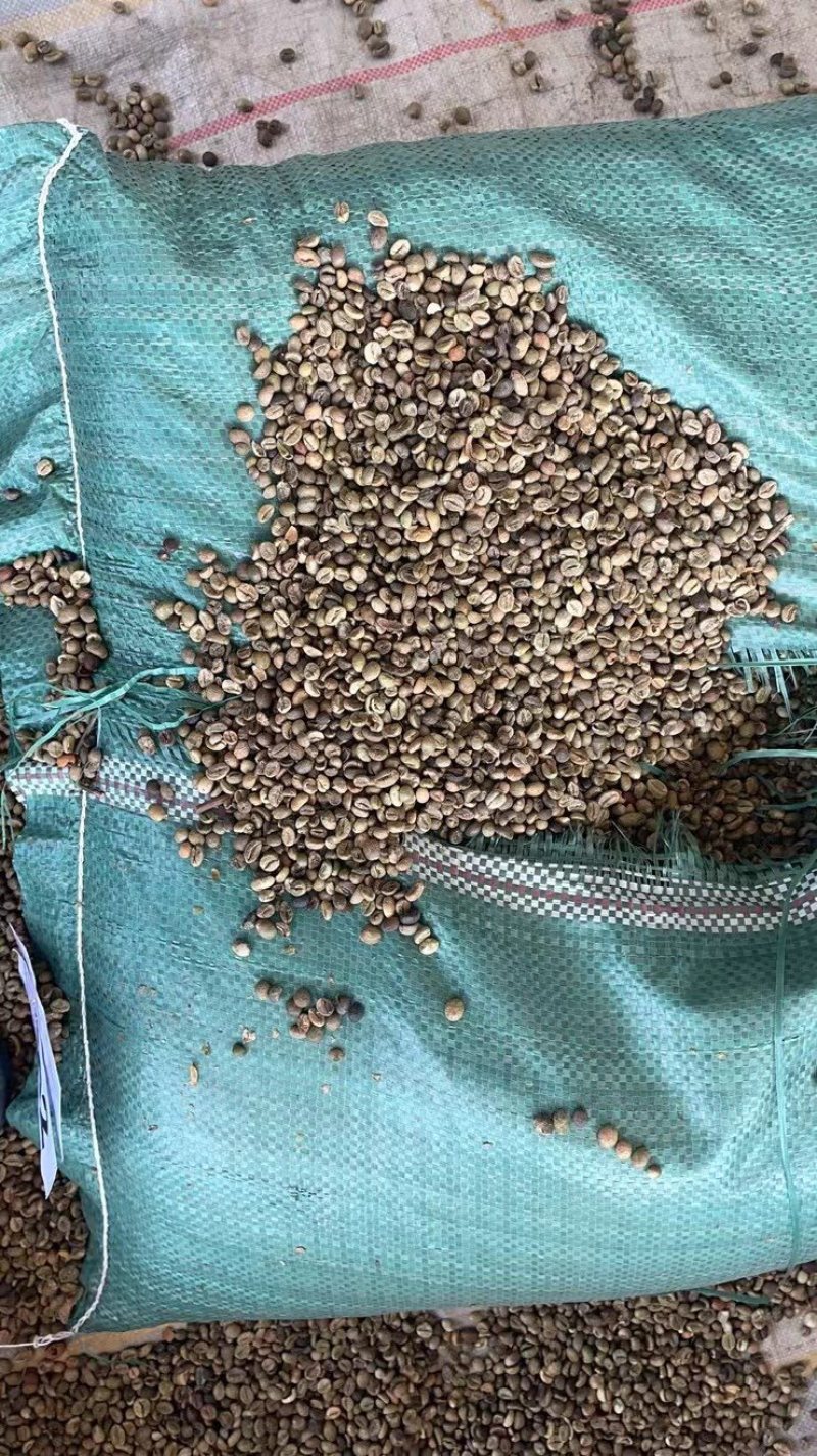 越南进口罗布斯塔咖啡豆