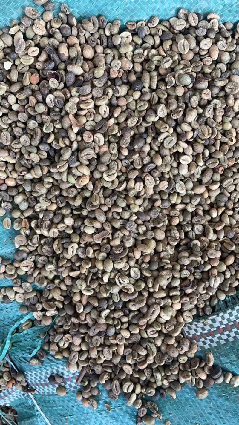 越南进口罗布斯塔咖啡豆