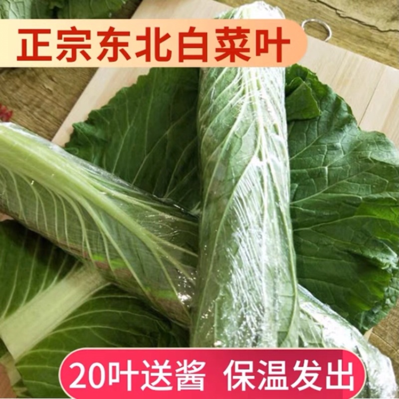 东北白菜叶饭包叶20片一件包邮，菜店和食堂档口小吃专用
