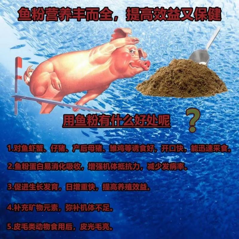 国产脱脂鱼粉大量现货