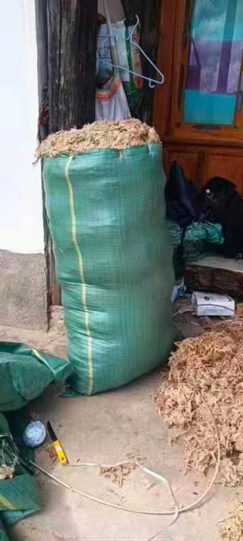 水苔现货600袋，有需要的老板下单