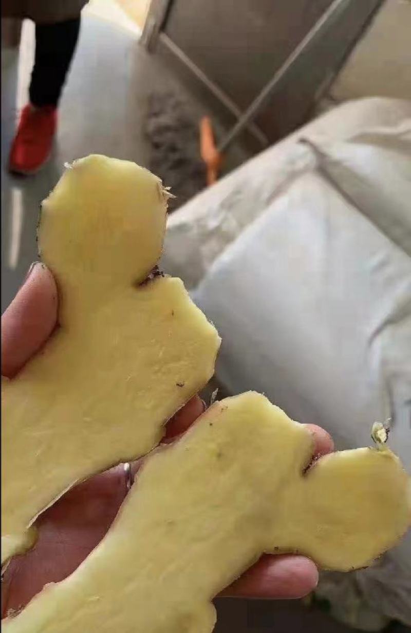 荐-【诚信经营-】对接市场电商（沙土姜/水洗姜/风干姜）