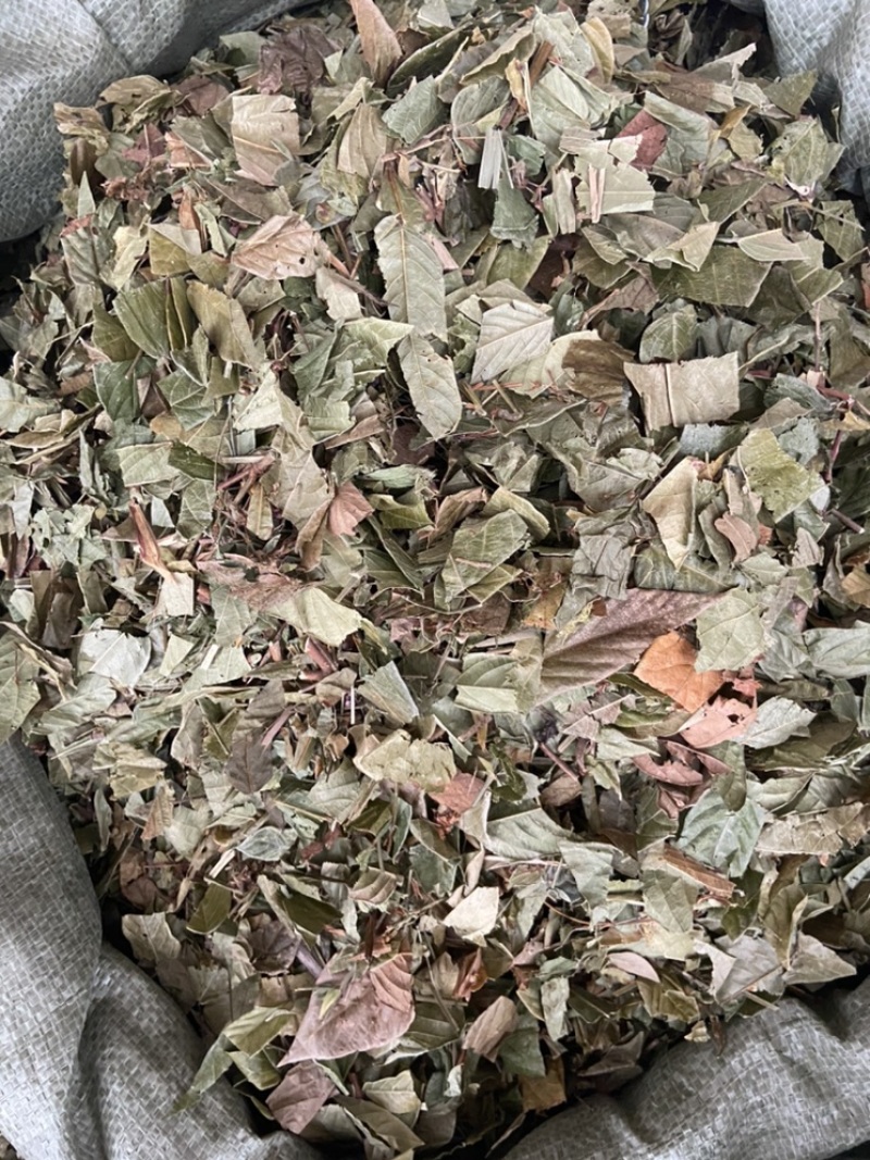 葫芦茶
