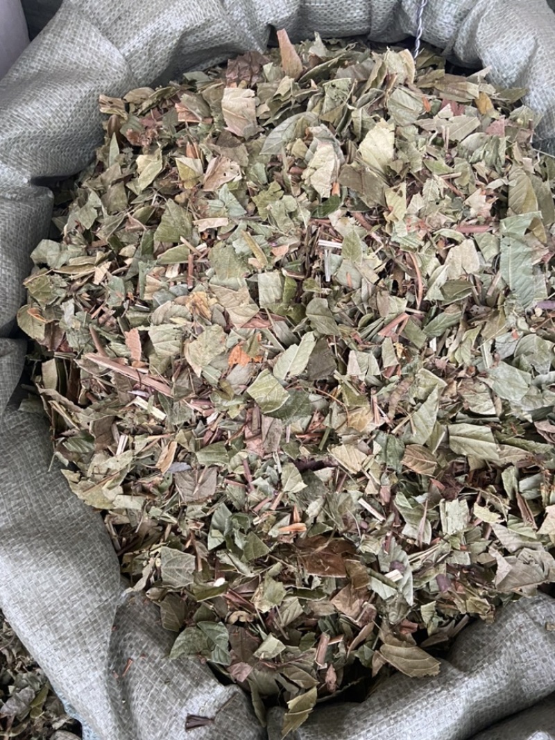 葫芦茶
