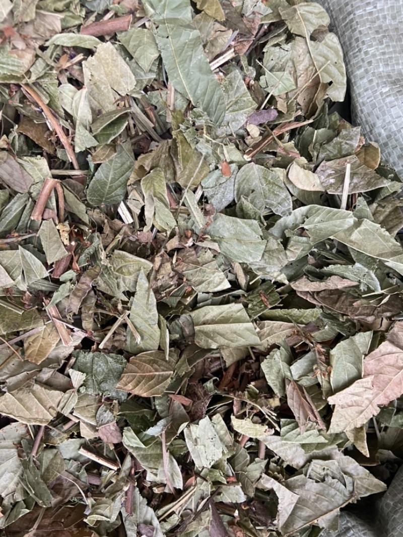 葫芦茶