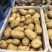 荷兰15土豆大量供应,一手货源,专业对接市场,量大从优