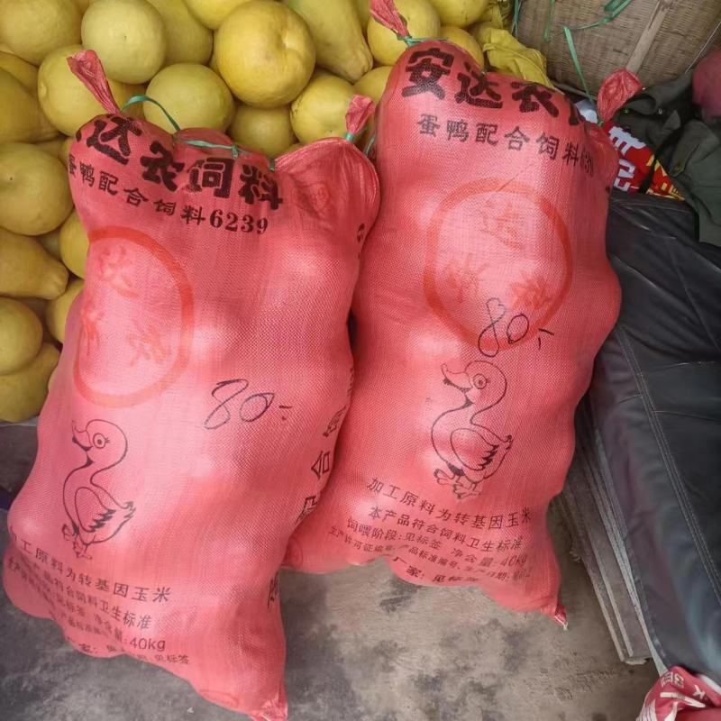 长期有货一手货源各种新鲜柚子