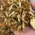 中药材陈皮陈皮丝橘子皮老陈皮丝一公斤起