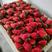红颜草莓，安徽万亩基地一手货源欢迎采购，对接市场商超