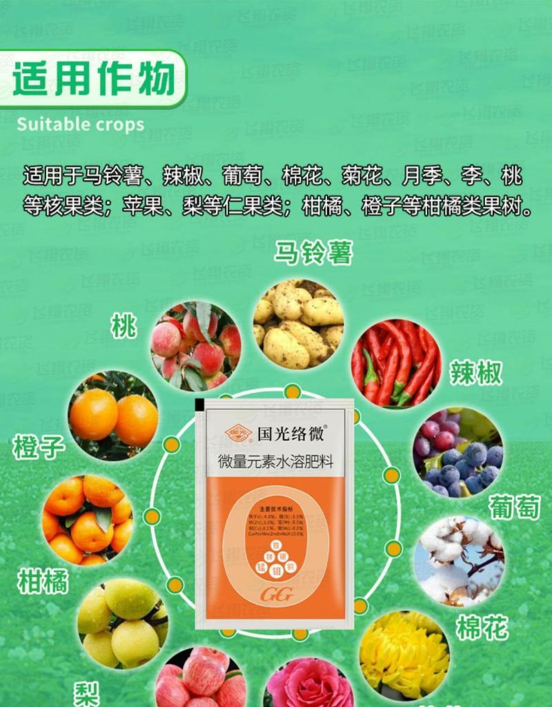 国光络微多素微量素肥料螯合型铁肥果树补铁葡萄黄叶小叶20