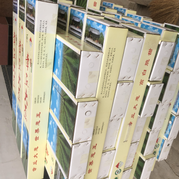 大葱精品礼盒山东特产北京全国发货