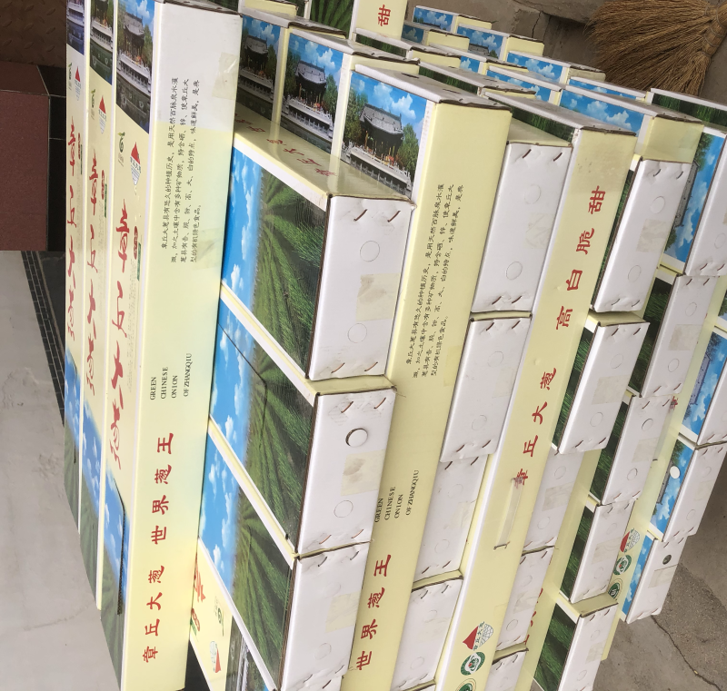 大葱精品礼盒山东特产北京全国发货
