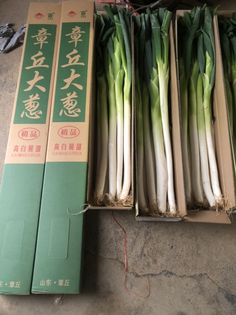 大葱精品礼盒山东特产北京全国发货