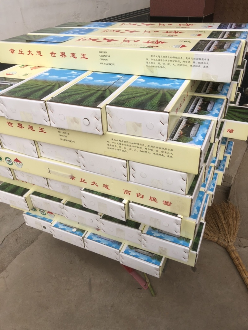大葱精品礼盒山东特产北京全国发货