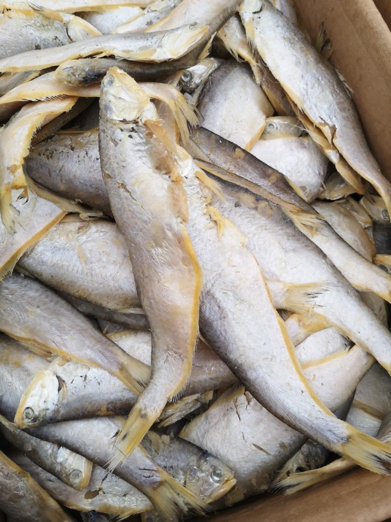 马口鱼，鲅鱼，红头鱼，鲳鱼，白磷鱼到货，各类咸鱼都有